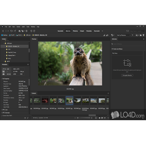 دانلود Adobe Bridge – مدیریت هوشمند فایلهای گرافیکی